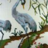 2 kraanvogels