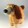 Hondje