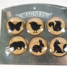 6 "glazenbolletjes" magneten
