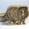 Houten wasbeer