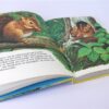 Dieren van de wereld
