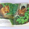 Dieren van de wereld