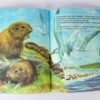 Dieren van de wereld