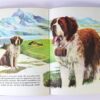 Dieren van de wereld