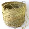 Mand aan koord / hanging basket