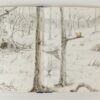 Mijnheer Eerkhoorn en de eerste sneeuw