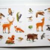 Mijn groot dierenboek