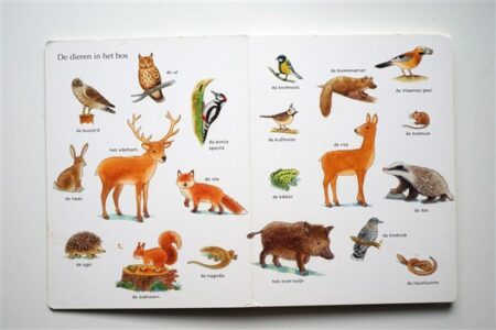 Mijn groot dierenboek