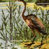 Vogel kruissteek in lijst