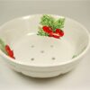 Kleine fruittest "radijs"