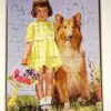 Vintage puzzel meisje en hond