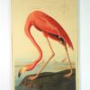 Flamingo op hout