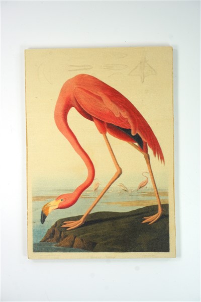 Flamingo op hout