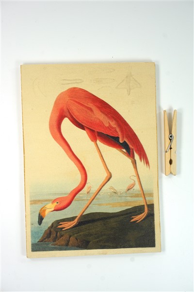 Flamingo op hout