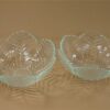 2x schaal glas bloemvorm