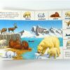 Dieren in de wildernis