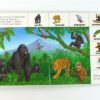 Dieren in de wildernis