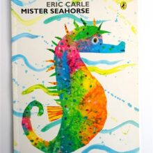 Mister seahorse