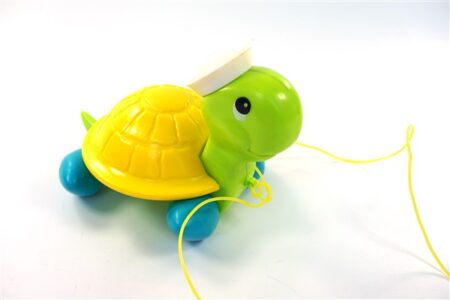 Schildpad Fisher Price