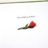 Roosje en Truffel