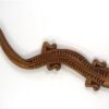 Houten salamander