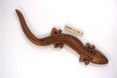 Houten salamander